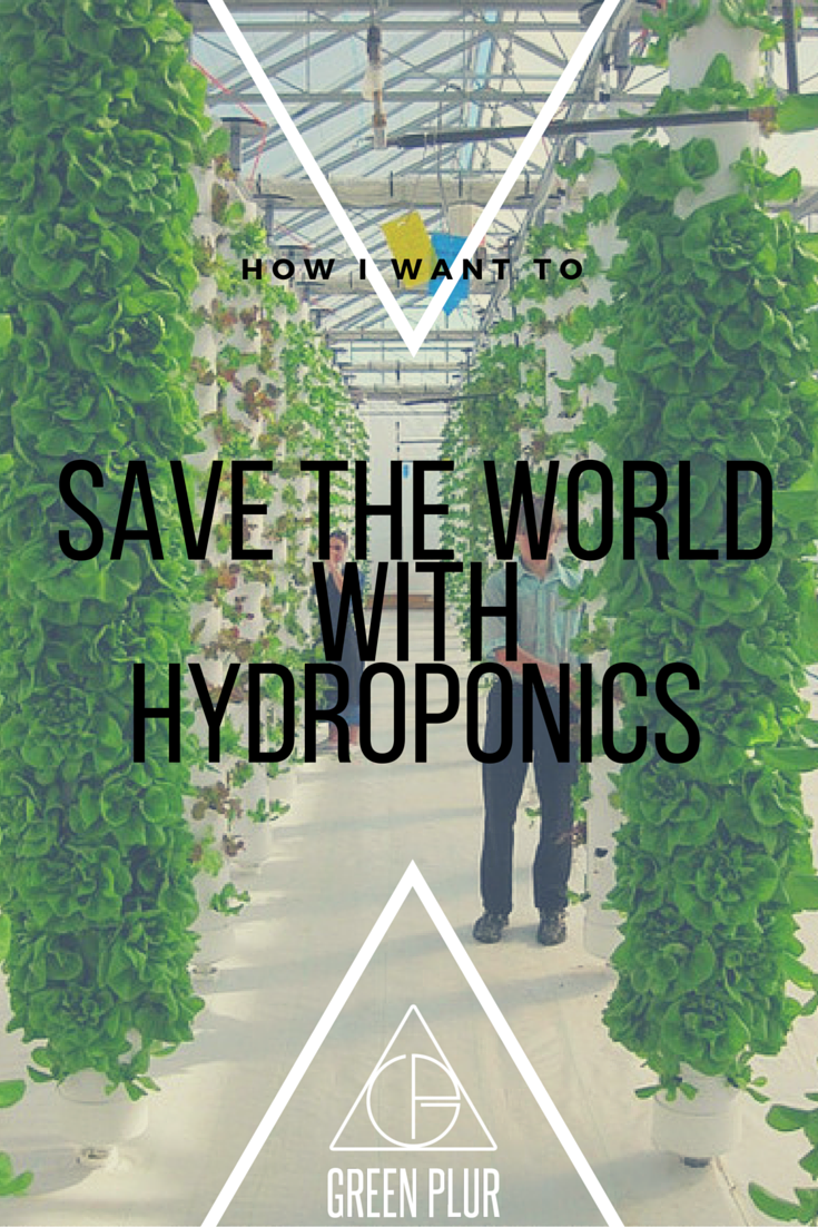Save the World with Hydroponics